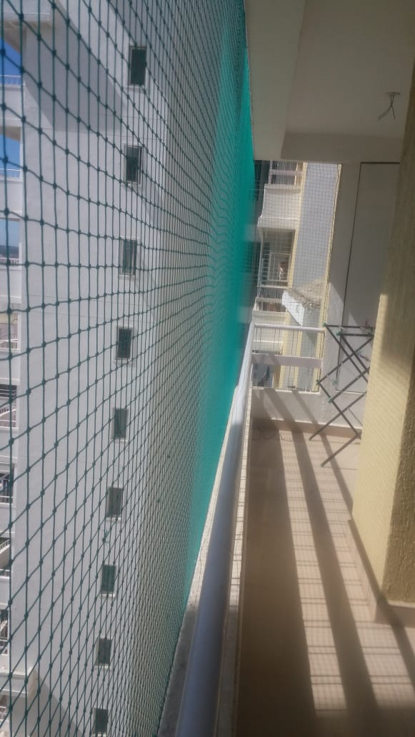 Bird Spikes In Hyderabad