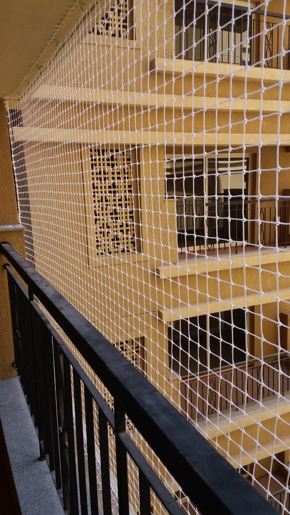 Bird Spikes In Hyderabad