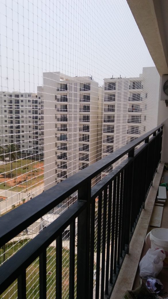 Bird Spikes In Hyderabad