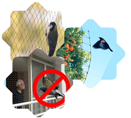 Pigeon safety nets in tellapur